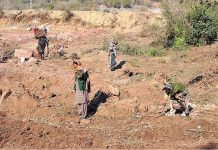 Nomad family collecting dry woods for domestic use from construction area of Bhara Kaho bypass