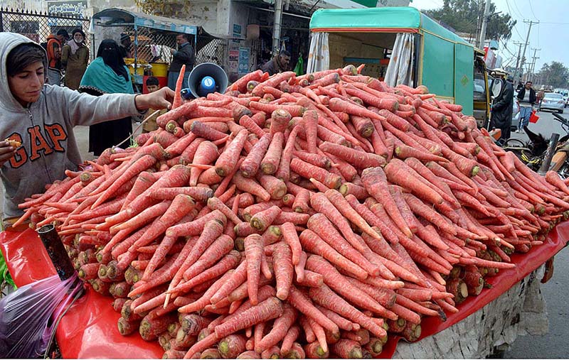A child street vendor is selling fresh carrots on a hand cart in the city