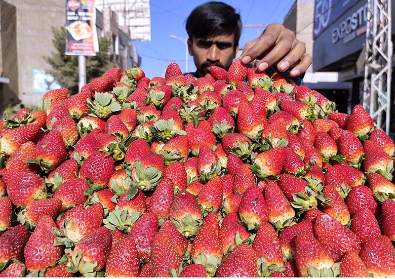 A vendor is selling seasonal fruit strawberry at his hand cart near Railway Station