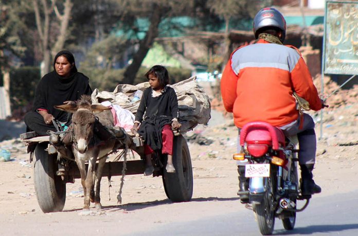 A gypsy family travels on a donkey cart after collecting valuables from garbage and heading toward their destination