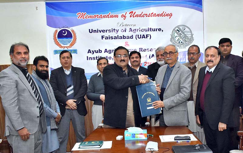 University of Agriculture Faisalabad Vice Chancellor Prof Dr Iqrar Ahmad Khan(UAF) and Ayub Agricultural Research Institute Faisalabad Director General Dr Muhammad Nawaz Khan( AARI) inked a Memorandum of Understanding to collaborate in research and development activities for quality seed production and supply to farming community to ensure food security