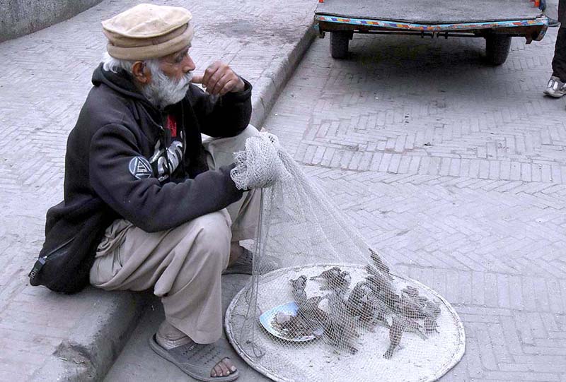 A man is waiting for customers to sell sparrows as people purchase and free them for mercy at local market in provincial capital city