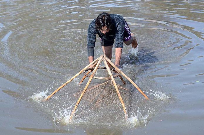 A youngster catching fish with the help of net in the canal