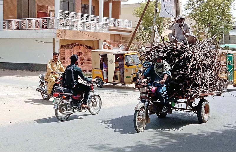 A motorcycle holder on his way loaded with dry wood for domestic use in Bahawalpur