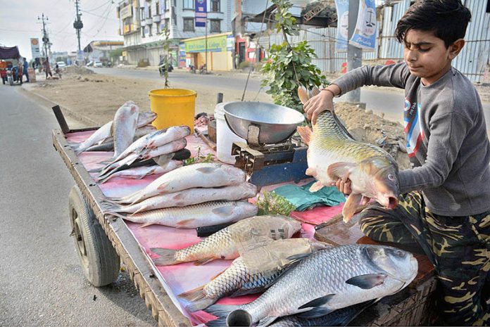 A young vendor selling fish at a roadside setup