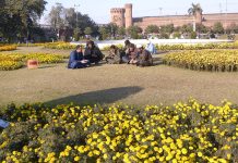 People keeping themselves warm while sitting in sun light in the city