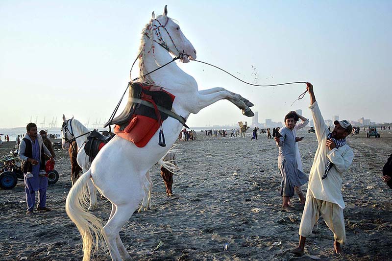 A horseman is performing horse dance to entertain visitors at Sea View Clifton, to earn money for livelihood