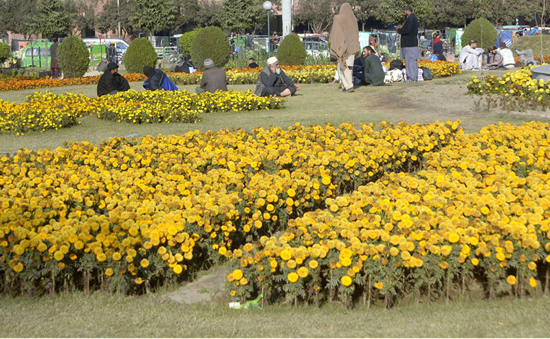 People keeping themselves warm while sitting in sun light in the city