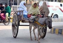 A young girl along with her mother on the way on a donkey cart at Bunder Road