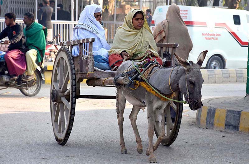 A young girl along with her mother on the way on a donkey cart at Bunder Road