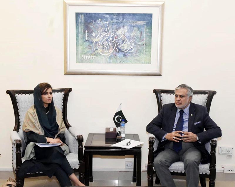 Federal Minister for Finance and Revenue, Senator Mohammad Ishaq Dar held a meeting with Minister of State for Foreign Affairs, Hina Rabbani Khar at Finance Division.