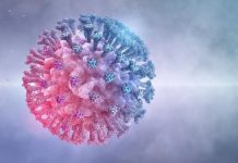 23 new Corona cases reported in last 24 hours: NIH