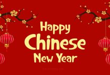 Chinese New Year kicks off with cultural night celebrations