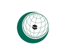 OIC Contact Group on Kashmir discusses ways to promote just solution of UN-recognized dispute