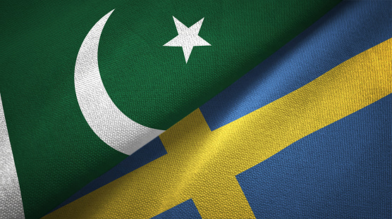 Pakistan wants to boost ties with Sweden in field of IT, Telecom: Amin