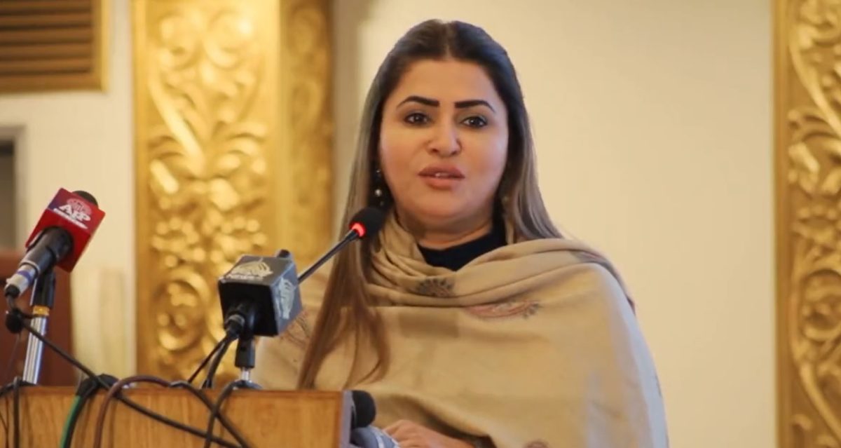 Digital literacy to revolutionise Pakistan's economy: Shazia Marri