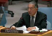 Keep alive the flame of freedom, Munir Akram urges community on 'Pakistan Day'