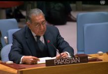 UNSC must enable Kashmiris, Palestinians to exercise right of self-determination : Pakistan