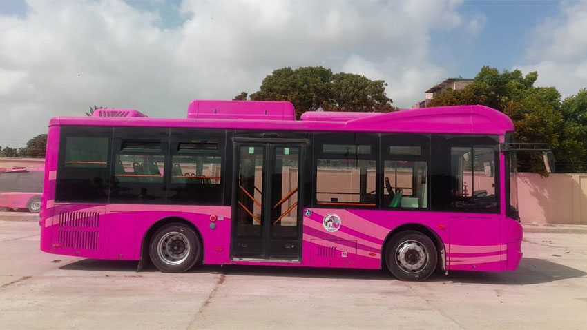 Sindh govt to start Pink bus service from February 1 to facilitate working women