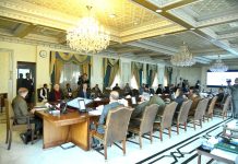 Cabinet directs strategy to prevent recurrence of power outages; approves energy nationwide conservation drive
