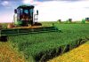 Experts call for Pak-China joint working group for agricultural development