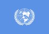 UN agencies call to action for One Health for safer world