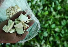 Global cocaine production hits record levels as demand surges after Covid slowdown: UN agency