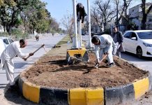 CDA workers preparing greenbelt area for plantation in the federal capital