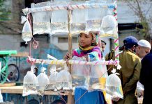 A young female street vendor displaying and selling fishes at Latifabad