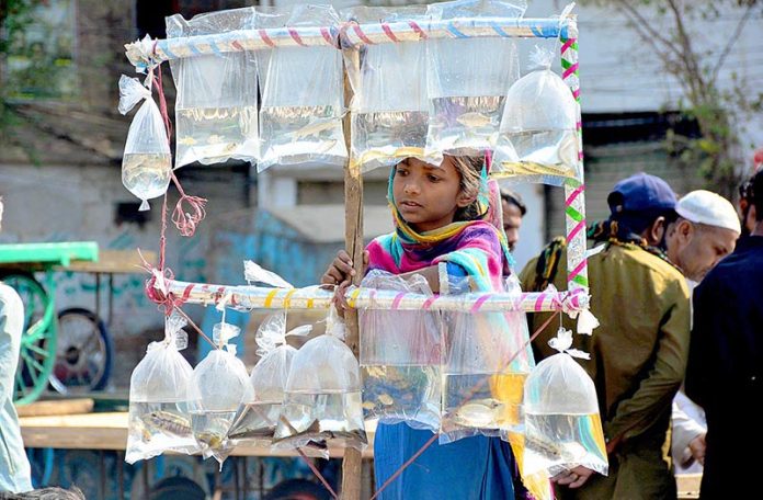 A young female street vendor displaying and selling fishes at Latifabad