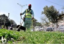 CDA worker busy in trimming grass on roadside greenbelt near Aabpara Market