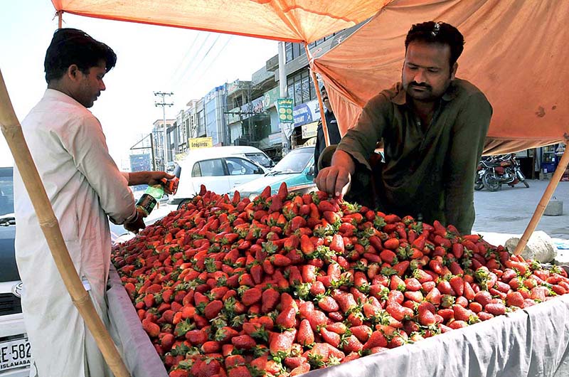 A vendor arranging and displaying strawberry to attract the customers at KhanaPul
