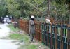 Labourers busy in paint the fence of a local park in F-7, Federal Capital.