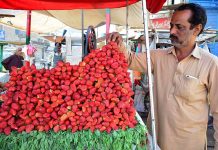 A vendor arranging and displaying strawberry to attract the customers on his cart