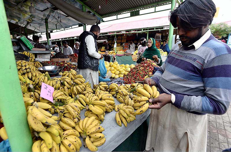 A vendor displaying and selling bananas at Margalla Ramzan Bazar