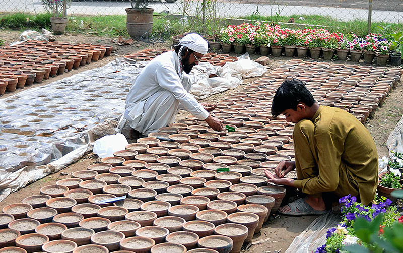 Gardeners are busy in sowing plants in the flower pots at a local nursery.