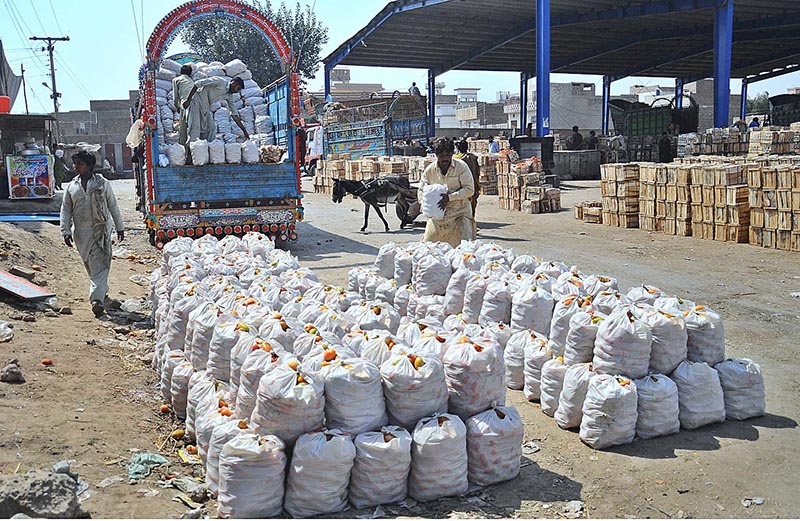 A labourer unloading tomato bags from a delivery truck at vegetable market