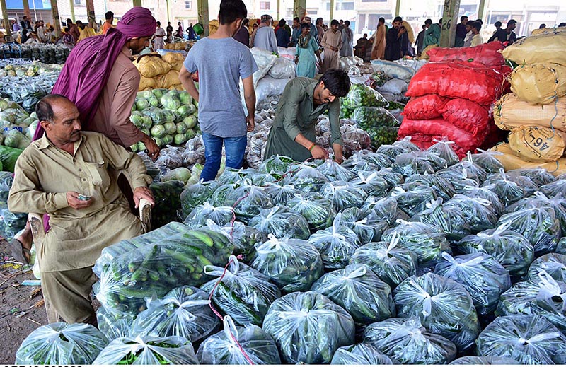 A vendor busy in packing vegetables in the plastic bags at Vegetable Market