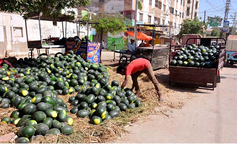 A vendor displaying the water-melons to attract the customers during Holy month of Ramzan at Latifabad