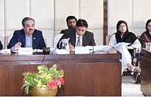 Senator Hidayat Ullah, chairman Senate standing committee on Aviation presiding over a meeting of the committee at Parliament House