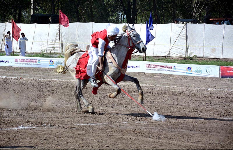 A player of tent pegging in action during championship organized by University of Agriculture Faisalabad (UAF) at its Sports Ground in connection with Spring Festival celebrations