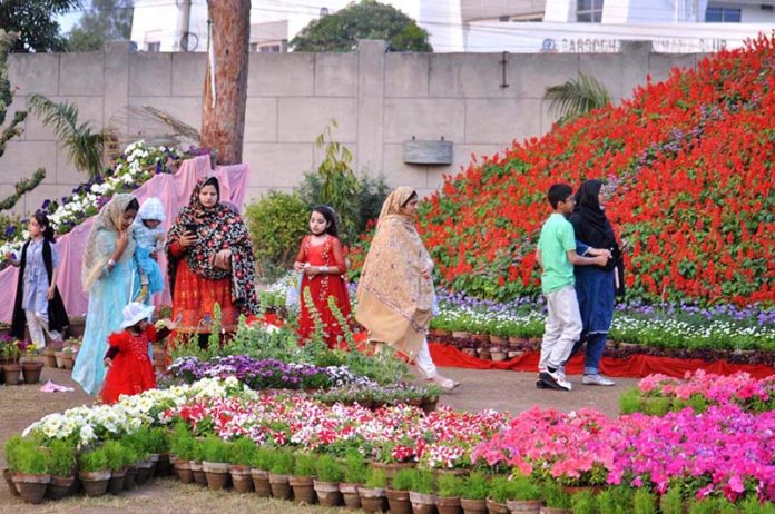 Families visiting flower stall during flora festival organized by PHA