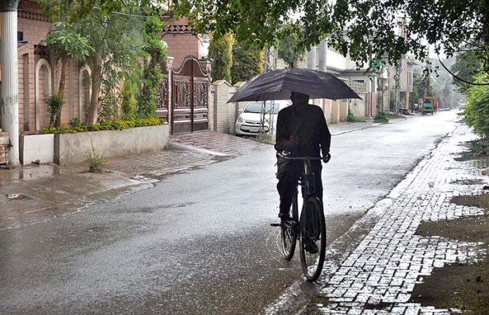 NDMA cautions provincial departments for effective measures amid more rain-thunderstorm forecast