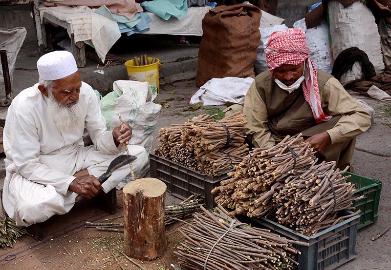 An aged vendor making traditional toothbrush “Miswak” at Clock Tower Chowk to earn livelihood for his family