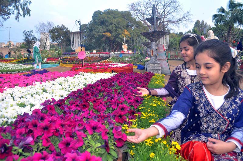 Families visiting flower stall during flora festival organized by PHA