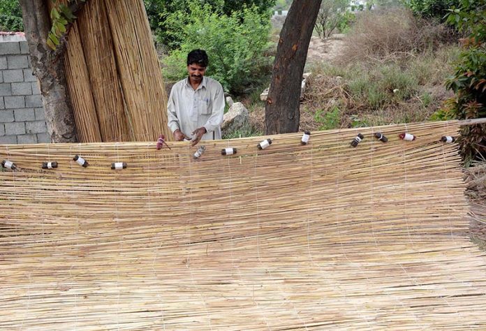 : March 29 - A worker busy in preparing traditional curtain (chick) at his workplace. APP/TWR/MAF/FHA