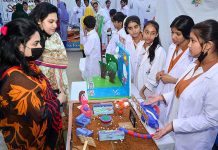 Science students are briefing their project to the visitors during exhibition of Science & Arts at Royal Cambridge School