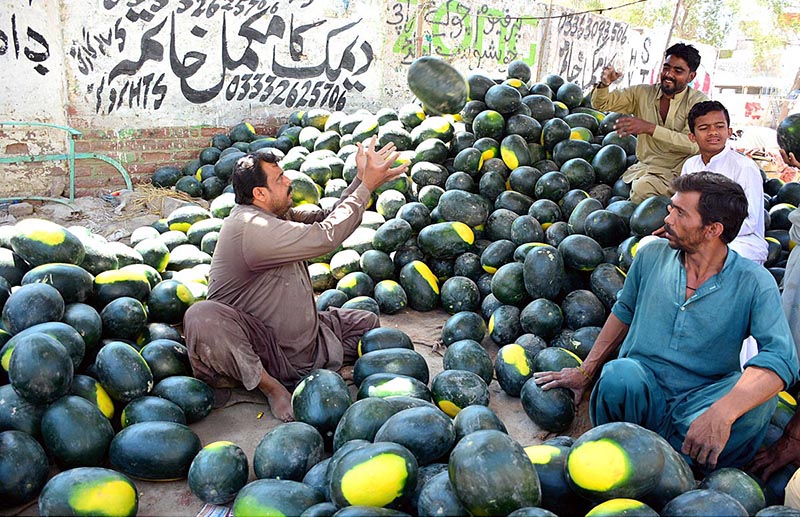 Vendor displaying the water-melons to attract the customers for selling at road side his setup in Qasimabad