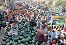The brokers helding auctions watermelons at a whole sale market from delivery truck at fruits market during Holy month of Ramzan.