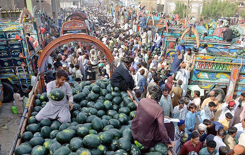 The brokers helding auctions watermelons at a whole sale market from delivery truck at fruits market during Holy month of Ramzan.